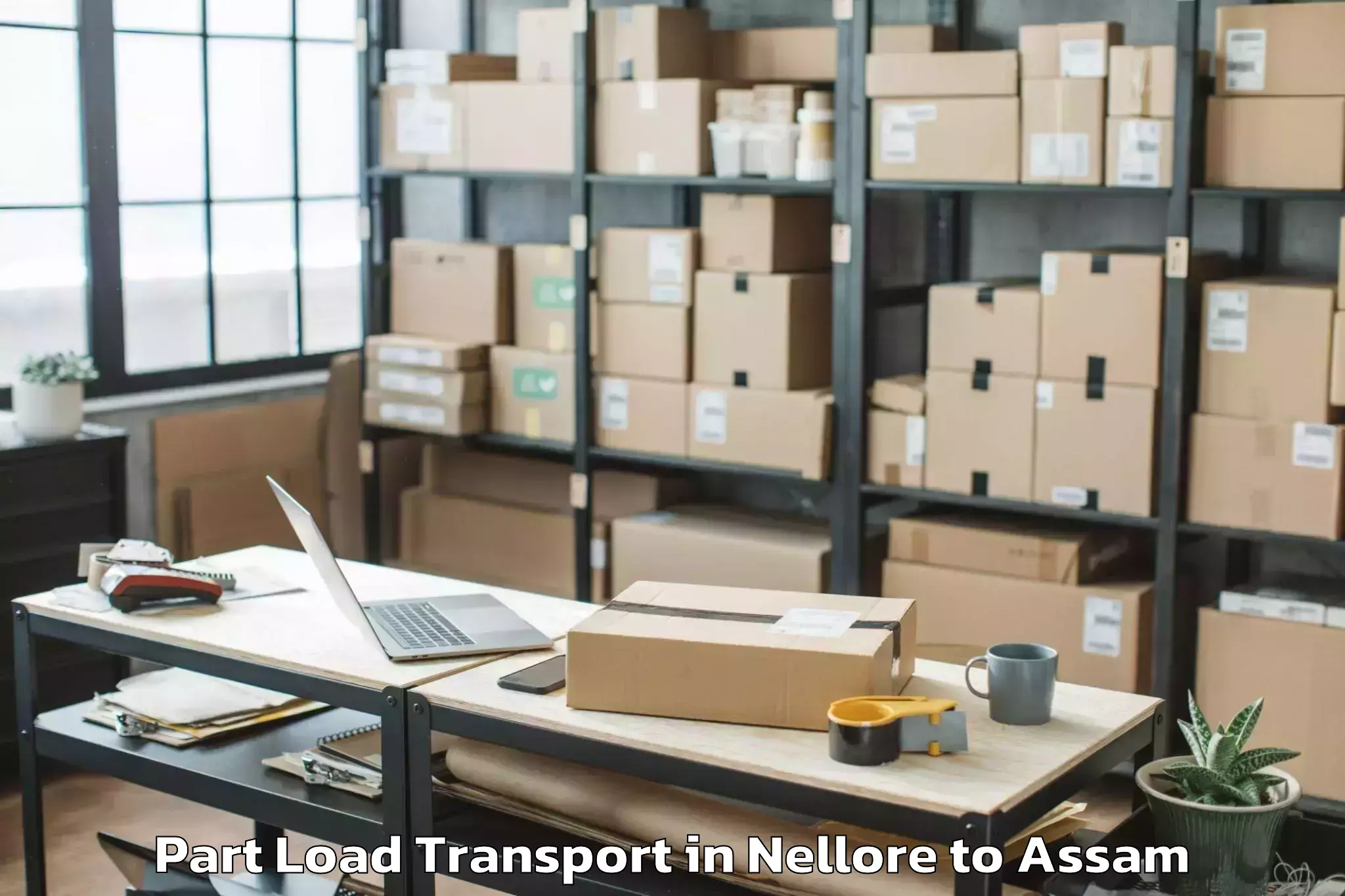 Book Nellore to Morigaon Part Load Transport Online